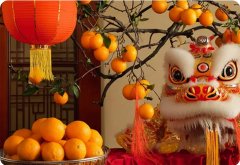 新年賀詞 | 筑夢未來，在這里展翅騰飛